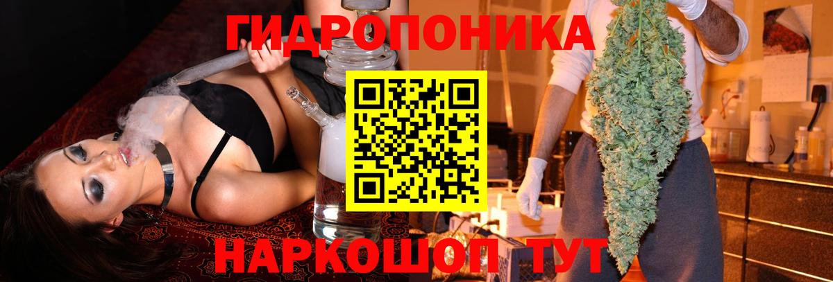Бошки Шишки конопля Севастополь